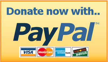 Donate with PayPal